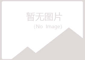 青岛雅山能源有限公司